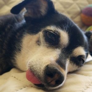 Meet your Posher, Shannon